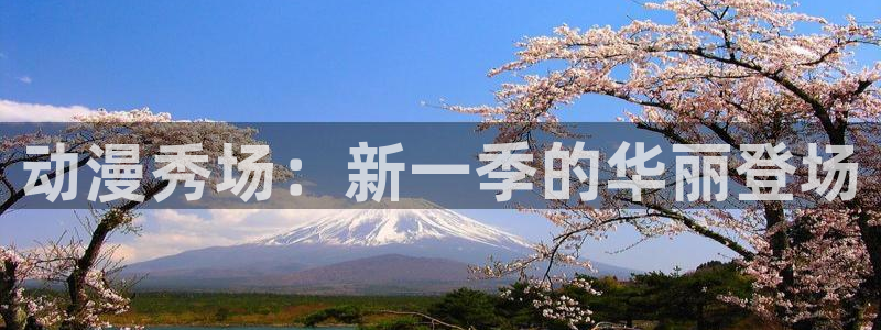 78动漫官网网站：动漫秀场：新一季的华丽登场