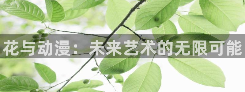 78动漫软件：花与动漫：未来艺术的无限可能