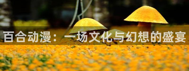 78动漫手机版：百合动漫：一场文化与幻想的盛宴
