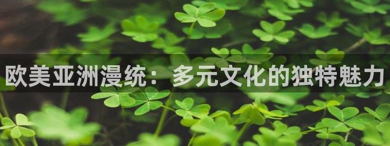 78动漫寿屋：欧美亚洲漫统：多元文化的独特魅力